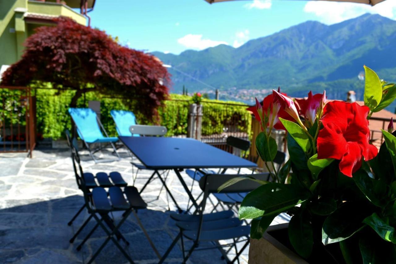 Le Grigne Guesthouse - The Garden Oliveto Lario Esterno foto