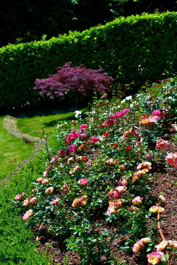 Le Grigne Guesthouse - The Garden Oliveto Lario Esterno foto