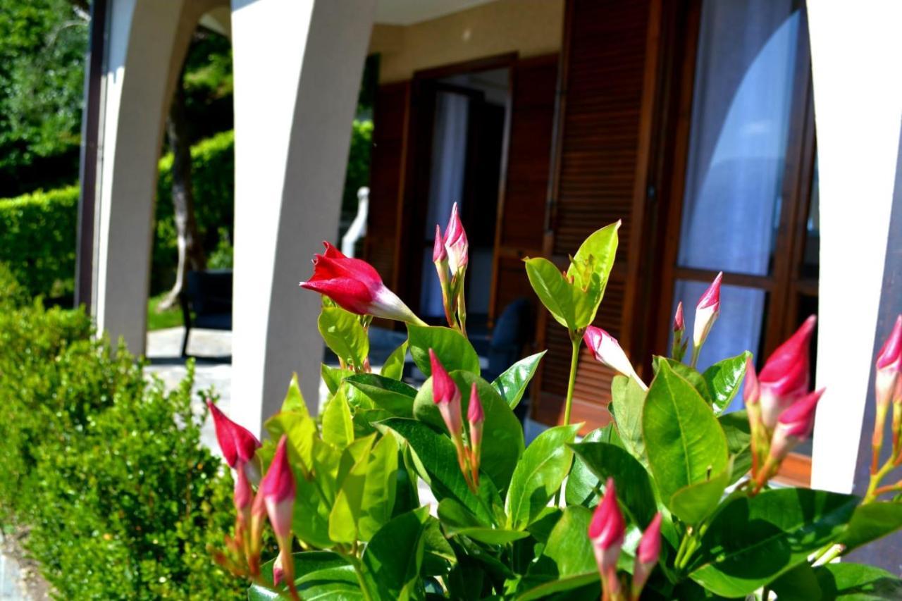 Le Grigne Guesthouse - The Garden Oliveto Lario Esterno foto